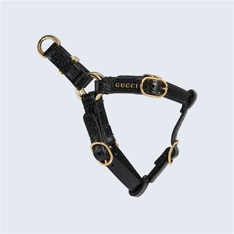 gucci colar|gucci collars for cats.